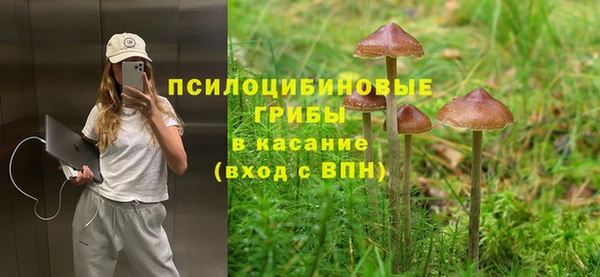 мет Алексеевка