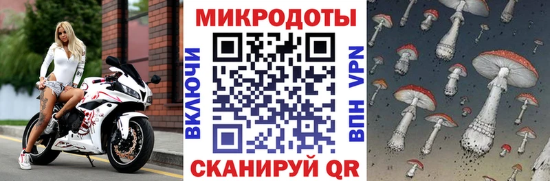 Галлюциногенные грибы Psilocybine cubensis  дарнет шоп  Красногорск 
