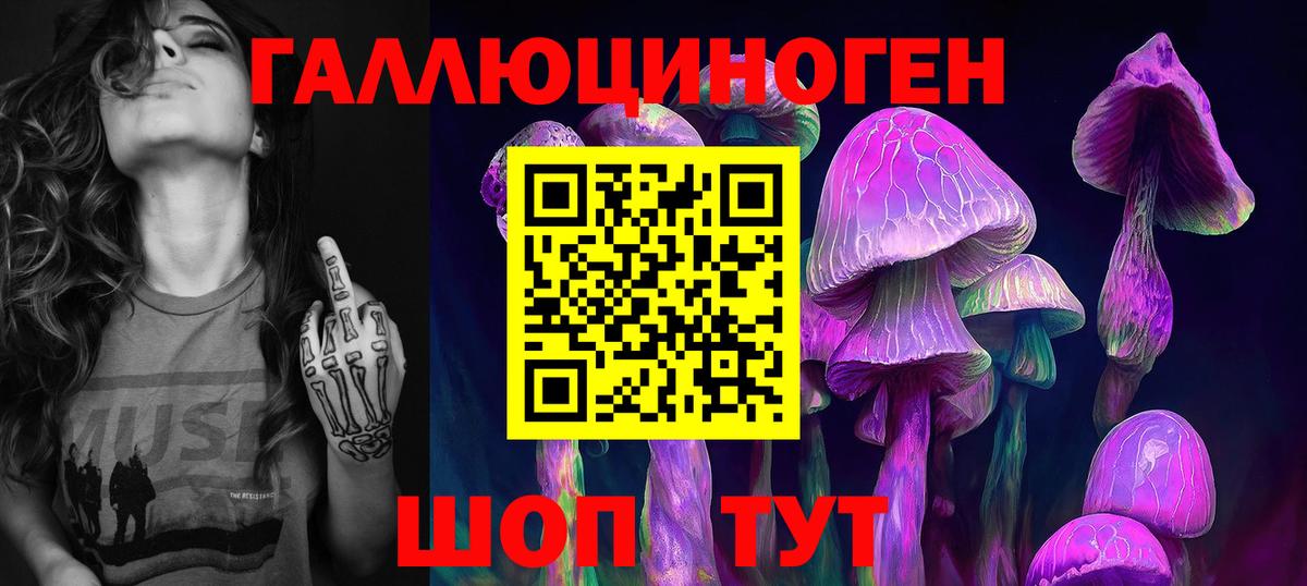 Красногорск  наркотики  Вход с VPN  Галлюциногенные грибы Cubensis 
